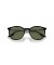 Ray-Ban RB2204 S (51 - 20) / الأخضر العدسات و النظارات الشمسية الإطار الأسود