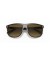 Ray-Ban RB4147 صديق ل (60 - 15) / بني العدسات و النظارات الشمسية الإطار الأسود