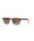Ray-Ban RB4190 م (52 - 19) / بني العدسات السلحفاة نظارات الإطار