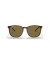Ray-Ban RB4387F م (55 - 18) / بني العدسات السلحفاة نظارات الإطار