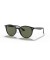 Ray-Ban RB4305 م (53 - 19) / الأخضر العدسات و النظارات الشمسية الإطار الأسود