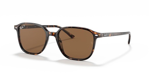Ray-Ban RB2193 ليونارد م (53 - 18) / بني العدسات السلحفاة نظارات الإطار