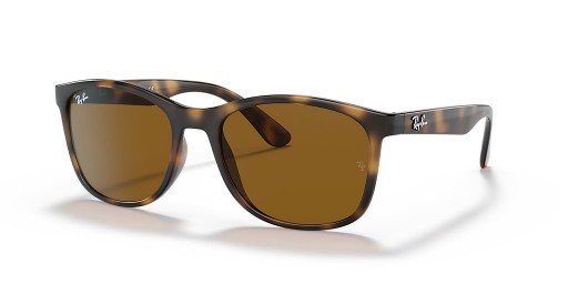 Ray-Ban RB4374 XL (56 - 19) / بني العدسات السلحفاة نظارات الإطار