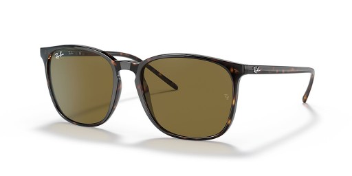 Ray-Ban RB4387F م (55 - 18) / بني العدسات السلحفاة نظارات الإطار