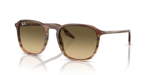 Ray-Ban RB2203 L (55 - 20) / العدسات البني و البني نظارات الإطار