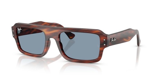 Ray-Ban RB4454 لوكاس الحيوي القائم XL (56 - 20) / الأزرق العدسات البني نظارات الإطار