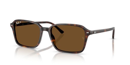 Ray-Ban RB2231 Raimond L (56 - 18) / بني العدسات السلحفاة نظارات الإطار