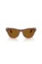 Ray-Ban RW4010 Meta Skyler M (52 - 20) / Brune linser og Beige ramme Solbriller