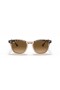 Ray-Ban RB2298 Hawkeye M (52 - 21) / Brune linser og Tortoise frame Solbriller