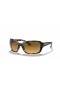 Ray-Ban RB4068 M (60 - 17) / Brune linser og Tortoise frame Solbriller
