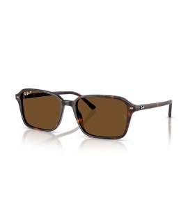 Ray-Ban RB2231 Raimond L (56 - 18) / Brune linser og Tortoise frame Solbriller