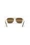 Ray-Ban RB3636 Nieuwe Caravan XL (58 - 15) / Bruin lenzen en Goud frame Zonnebrillen