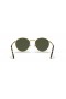 Ray-Ban RB3637 Nieuwe Ronde XS (50 - 21) / Groene lenzen en Goud frame Zonnebrillen