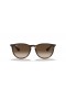 Ray-Ban RB4171 Erika Classic M (54 - 18) / Bruin lenzen en Schildpad frame Zonnebrillen