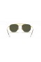 Ray-Ban RB3648 Maarschalk L (54 - 21) / Groene lenzen en Goud frame Zonnebrillen