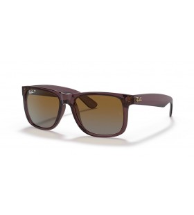 Ray-Ban RB4165 Justin Classic S (54 - 16) / Bruin lenzen en Bruin frame Zonnebrillen