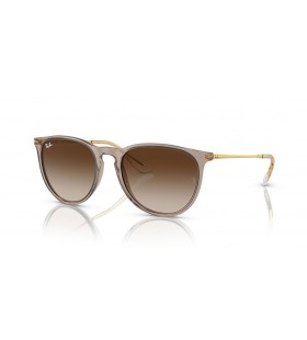 Ray-Ban RB4171 Erika Classic M (54 - 18) / Bruin lenzen en Bruin frame Zonnebrillen