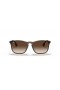 Ray-Ban RB4187 Chris M (54 - 18) / Ruskeat linssit ja Kilpikonnan runko Aurinkolasit