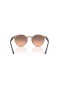Ray-Ban RB2180F M (51 - 20) / Harmaa linssit ja Beige runko Aurinkolasit