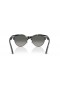 Ray-Ban RB2341 Clubmaster Tavalla M (51 - 19) / Harmaa linssit ja Havana runko Aurinkolasit