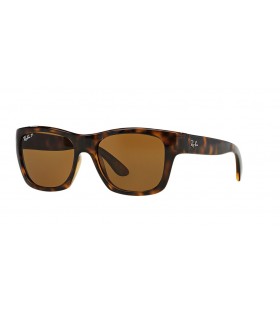 Ray-Ban RB4194 L (53 - 17) / Ruskeat linssit ja Kilpikonnan runko Aurinkolasit