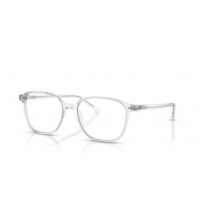 Ray-Ban RB2193 Leonard TransitionsÂ® M (53 - 18) / Harmaa linssit ja LÃ¤pinÃ¤kyvÃ¤ runko Aurinkolasit