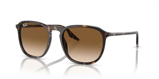 Ray-Ban RB2203 L (55 - 20) / lentilles Brunes et Tortoise frame Lunettes de soleil