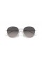 Ray-Ban RB3809 XL (55 - 20) / lentilles Grey et Silver frame Lunettes de soleil
