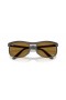 Ray-Ban RB4452CH Chromance Liteforce XL (56 - 20) / lentilles Brunes et Brown frame Lunettes de soleil
