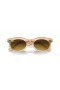Ray-Ban RB2242 Wayfarer Ovale Changer L (53 - 22) / lentilles Brunes et Brown frame Lunettes de soleil