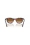 Ray-Ban RB2242 Wayfarer Ovale L (53 - 22) / lentilles Brunes et Tortoise frame Lunettes de soleil
