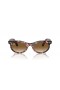 Ray-Ban RB2242 Wayfarer Ovale M (50 - 22) / lentilles Brunes et Tortoise frame Lunettes de soleil