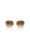Ray-Ban RB3694 Jim L (53 - 20) / lentilles Brunes et d'Or frame Lunettes de soleil