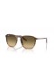 Ray-Ban RB2203 M (52 - 20) / lentilles Brunes et Brown frame Lunettes de soleil