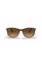 Ray-Ban RB4374 XL (56 - 19) / lentilles Brunes et Brown frame Lunettes de soleil