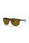 Ray-Ban RB4147 Copain L (60 - 15) / lentilles Brunes et Tortoise frame Lunettes de soleil