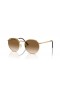Ray-Ban RB3637 Nouvelle série XS (50 - 21) / lentilles Brunes et d'Or frame Lunettes de soleil