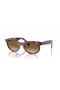 Ray-Ban RB2242 Wayfarer Ovale L (53 - 22) / lentilles Brunes et Tortoise frame Lunettes de soleil