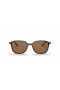Ray-Ban RB2193 Leonard M (53 - 18) / lentilles Brunes et Tortoise frame Lunettes de soleil