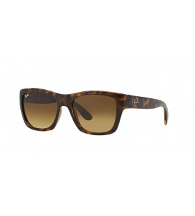 Ray-Ban RB4194 L (53 - 17) / lentilles Brunes et Tortoise frame Lunettes de soleil