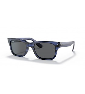 Ray-Ban RB2283 Burbank XL (55 - 20) / lentilles Grises et Blue frame Lunettes de soleil