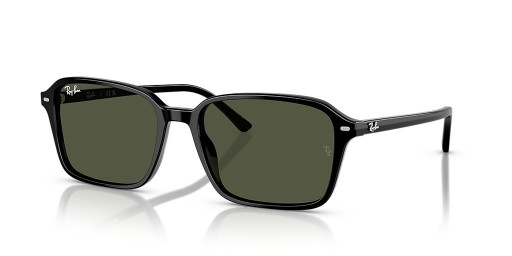 Ray-Ban RB2231 Raimond L (56 - 18) / Grünen Gläsern und Schwarzem Rahmen, Sonnenbrillen