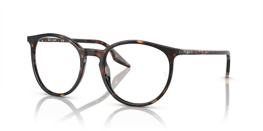 Ray-Ban RB2204 Transitions® L (54 - 20) / Transparente, Objektive und Tortoise frame Sonnenbrillen