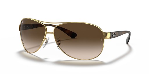 Ray-Ban RB3386 L (63 - 13) / Braun Linsen und Gold Rahmen Sonnenbrille