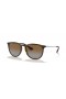 Ray-Ban RB4171F Erika Classic M (54 - 18) / Braun Linsen und Tortoise frame Sonnenbrillen