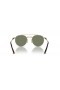 Ray-Ban RB8237 Runde II Titanium S (50 - 20) / Grünen Gläsern und Gold Rahmen Sonnenbrille
