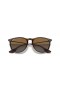 Ray-Ban RB4171F Erika Classic M (54 - 18) / Braun Linsen und Tortoise frame Sonnenbrillen