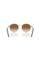 Ray-Ban RB3637 Neue Runde M (53 - 21) / Braun Linsen und Gold Rahmen Sonnenbrille