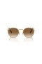 Ray-Ban RB3637 Neue Runde M (53 - 21) / Braun Linsen und Gold Rahmen Sonnenbrille
