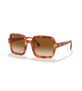 Ray-Ban RB2188 XL (53 - 24) / Braun Linsen und Tortoise frame Sonnenbrillen